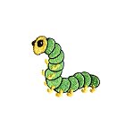 Image of bug01.jpg