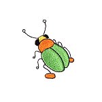Image of bug02.jpg