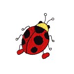 Image of bug12.jpg