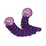 Image of bug15.jpg