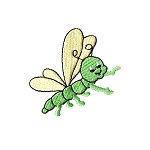 Image of bug16.jpg