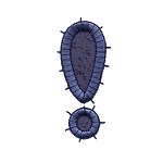 Image of cpmonoexcla.jpg