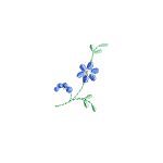 Image of daisy0306.jpg