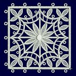 Image of dlacedoily0206.jpg