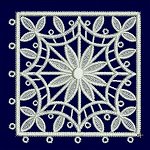 Image of dlacedoily0211.jpg