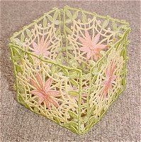 Image of dlacedoily0220.jpg