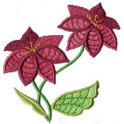 Image of fantflow04.jpg