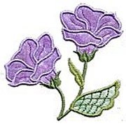 Image of fantflowl10.jpg