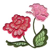 Image of fantrose01.jpg