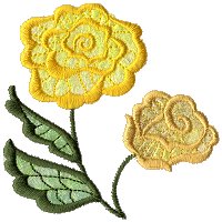 Image of fantrose02.jpg
