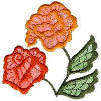 Image of fantrose03.jpg