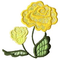 Image of fantrose06.jpg