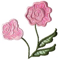 Image of fantrose07.jpg