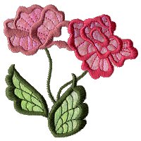 Image of fantrose08.jpg