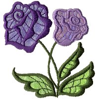 Image of fantrose09.jpg