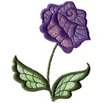 Image of fantrose09a.jpg