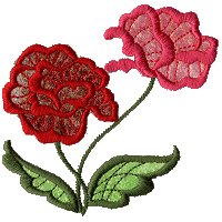 Image of fantrose10.jpg
