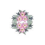Image of flowers08.jpg