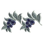Image of flowers15.jpg