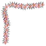 Image of flowers21.jpg