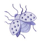 Image of heirbugs02.jpg