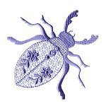 Image of heirbugs05.jpg