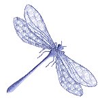 Image of heirbugs07.jpg