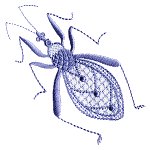 Image of heirbugs09.jpg
