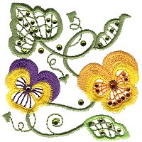 Image of pansy01.jpg