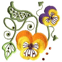 Image of pansy02.jpg