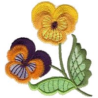 Image of pansy07.jpg