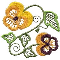 Image of pansy08.jpg