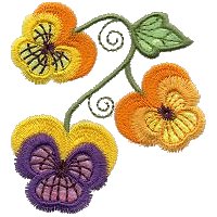 Image of pansy10.jpg