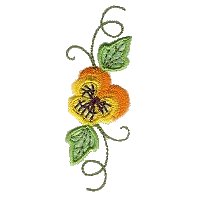 Image of pansy11.jpg