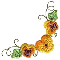 Image of pansy12.jpg