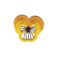 Image of pansy15.jpg