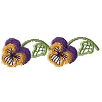 Image of pansy16.jpg