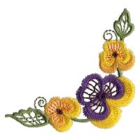 Image of pansy17.jpg