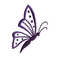 Image of pansy19.jpg
