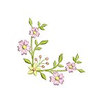 Image of pretflo203.jpg