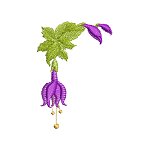 Image of pretflo206.jpg