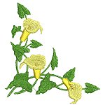Image of pretflo221.jpg