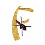 Image of shieldf.jpg