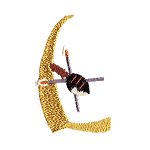 Image of shieldl.jpg
