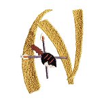 Image of shieldn.jpg
