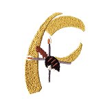 Image of shieldp.jpg