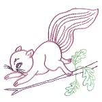 Image of squirrel04.jpg